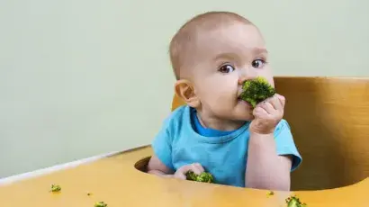 Lo que debes saber sobre el Baby Led Weaning (BLW) - Adeslas Salud y Bienestar